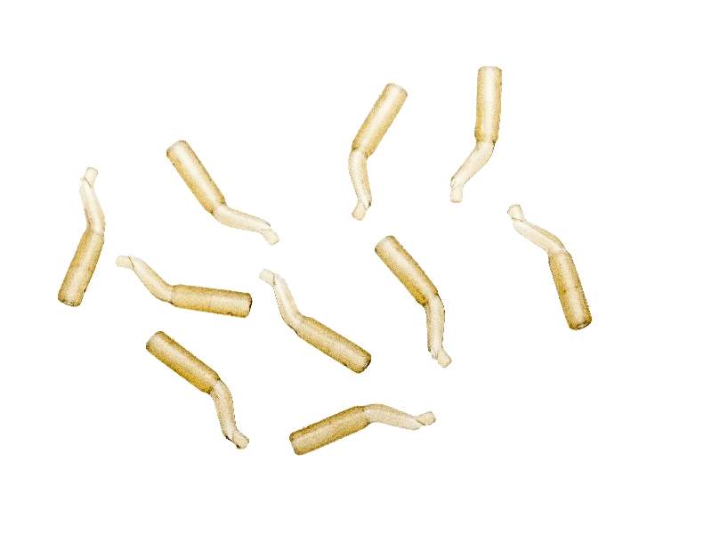 EXC Line Aligne 10 szt