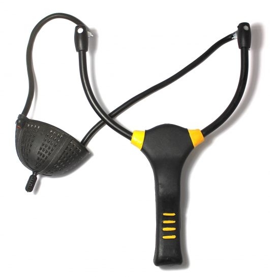 ZFISH Proca Match & Feeder