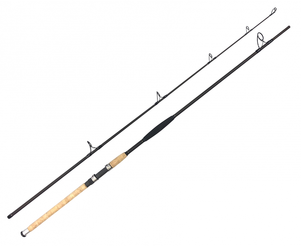ZFISH Wędka Catfish Morga 2,7m / 100-400g